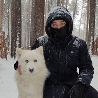 volkvladka