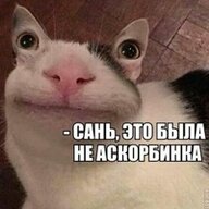 golyn228