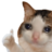 veto