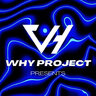 Чит на 236 девблог " why project "